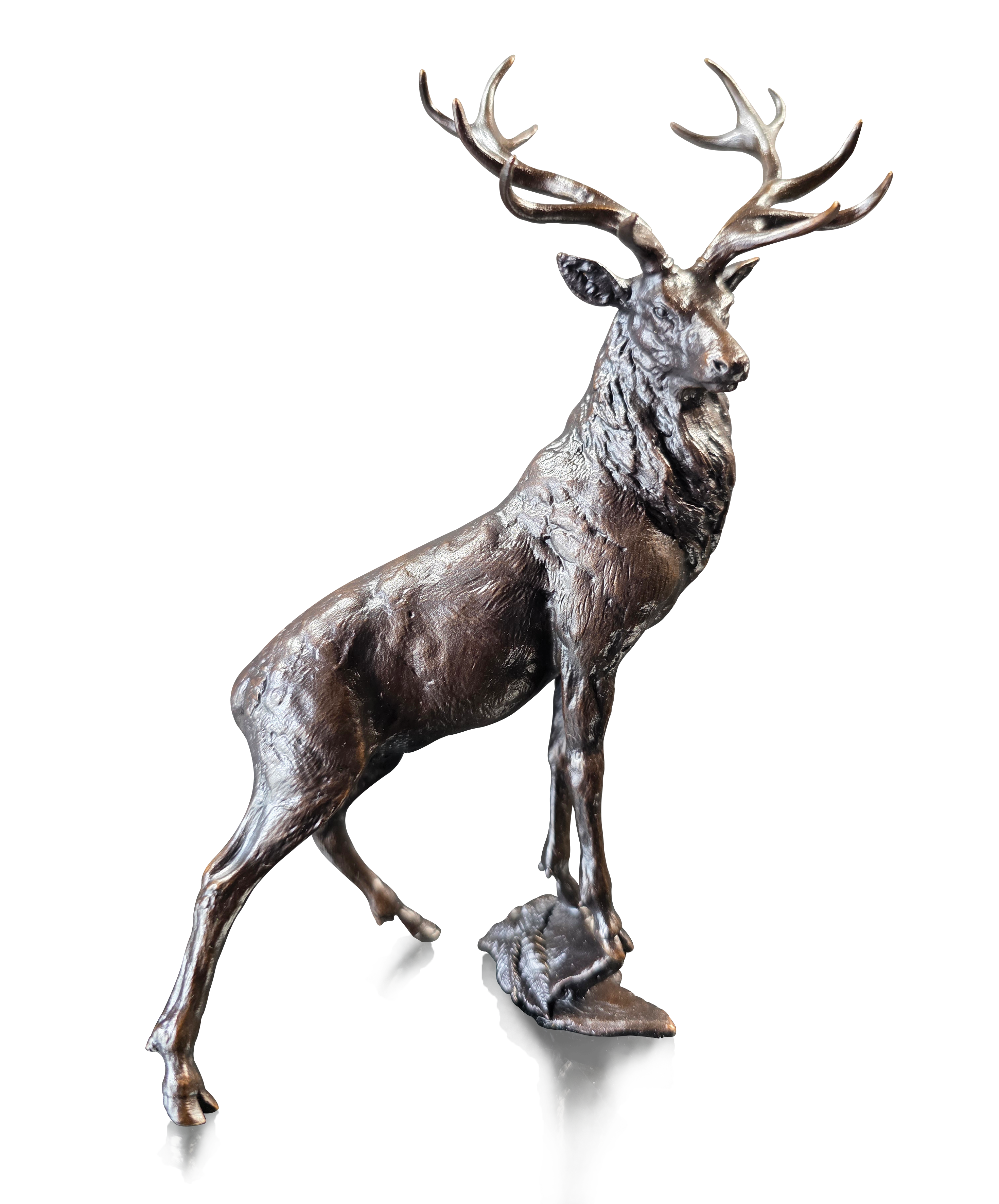 Highland Wilderness (1255)