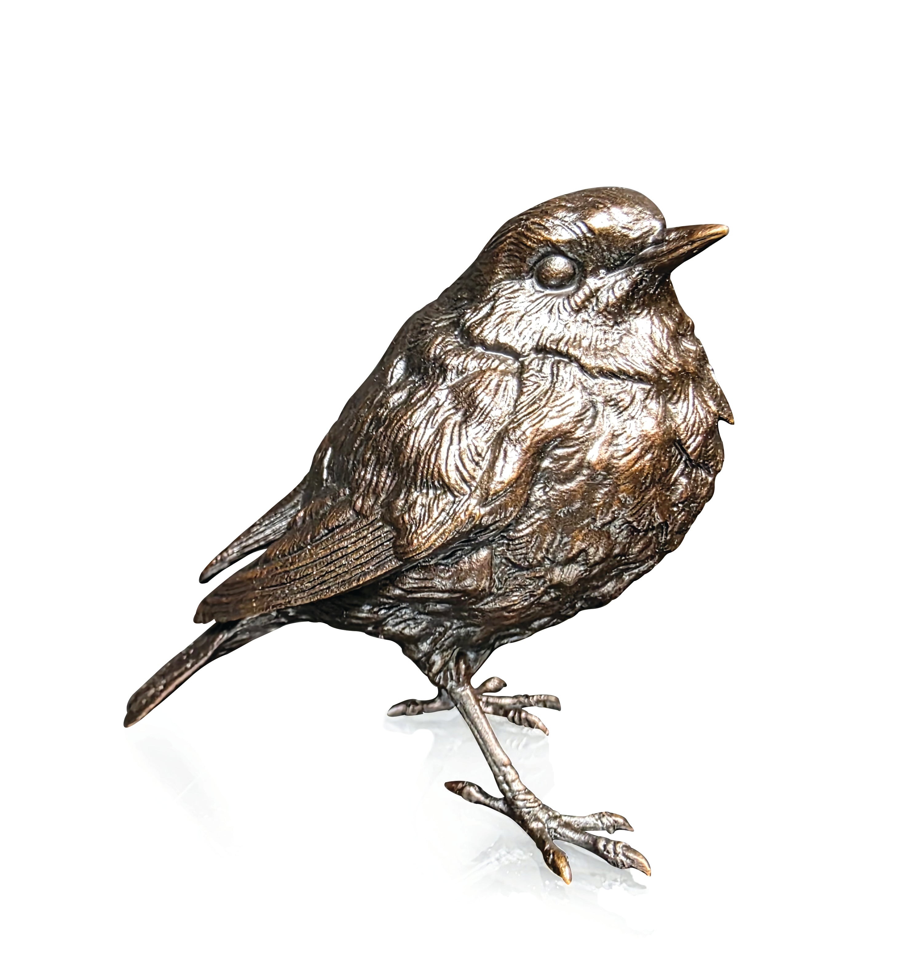 Robin Standing (1256)