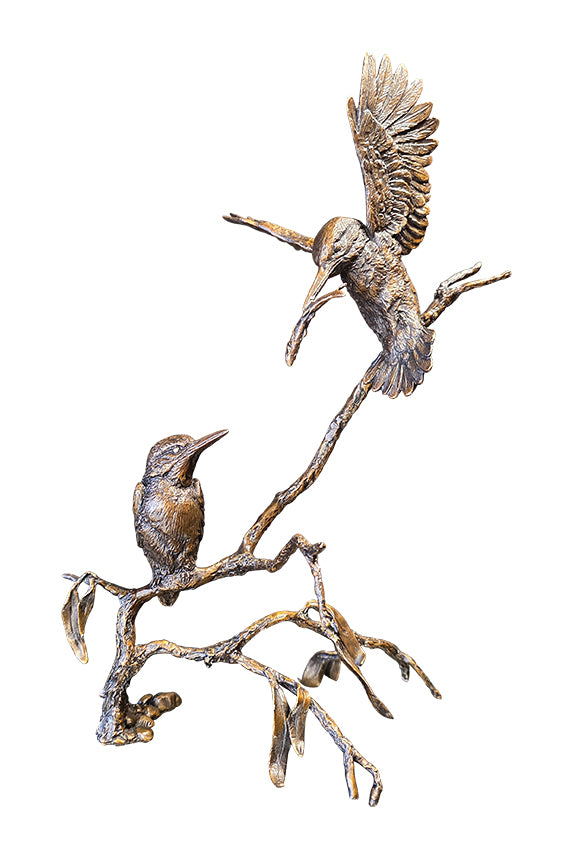 Jewel of the River - Kingfisher Pair (1281)