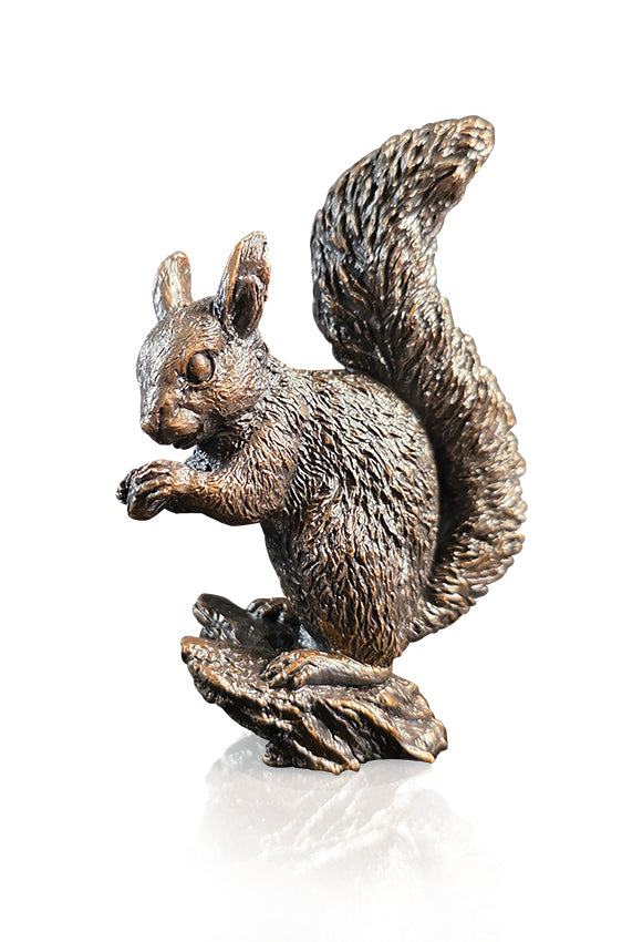 Red Squirrel (1294)