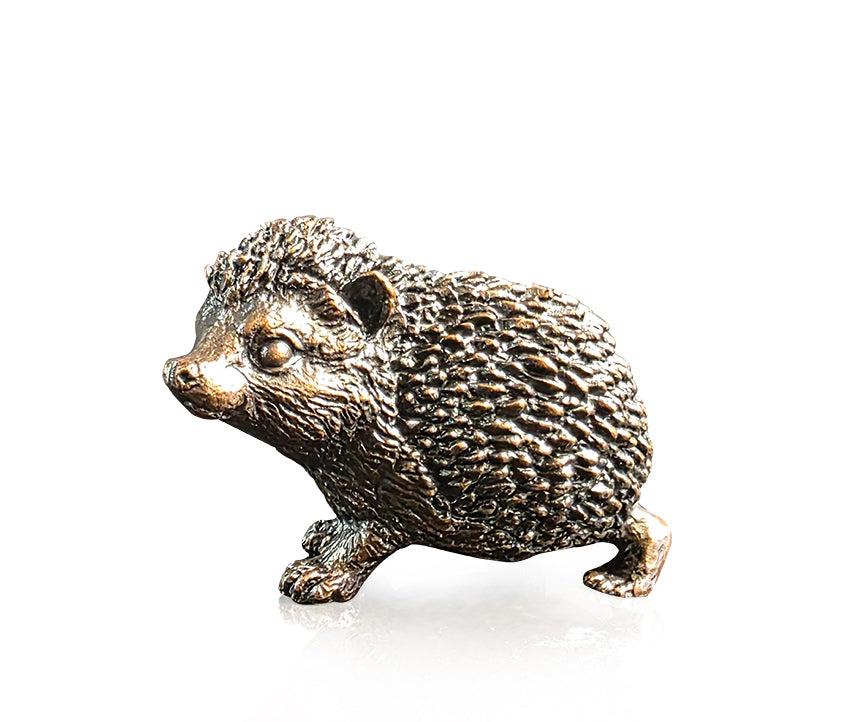 Baby Hedgehog (1298)