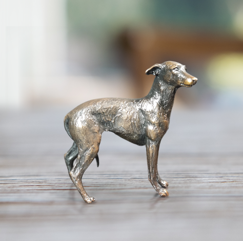 Miniature lurcher 2025