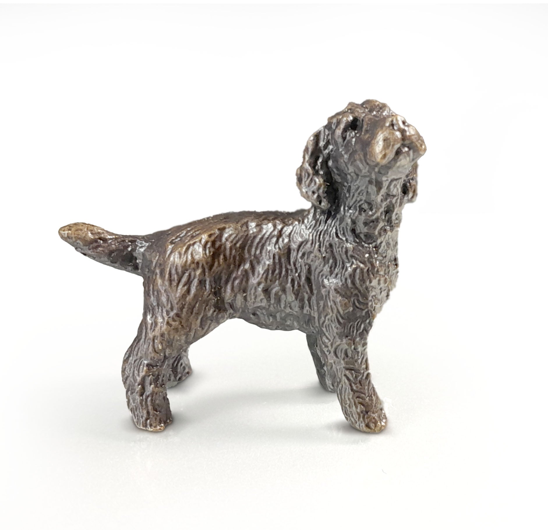 Butler & Peach Miniature Bronze Cockapoo (2095)