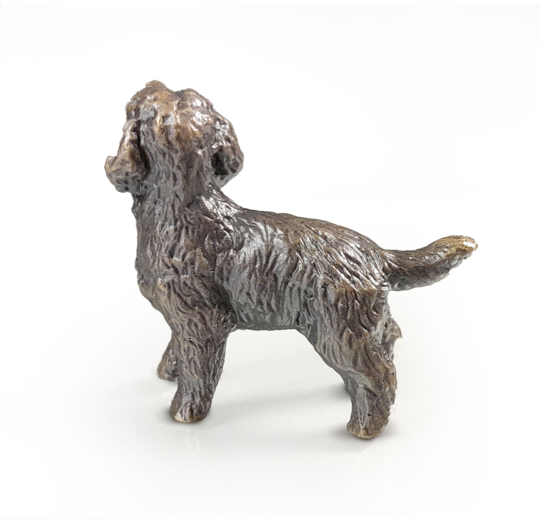 Butler & Peach Miniature Bronze Cockapoo (2095)
