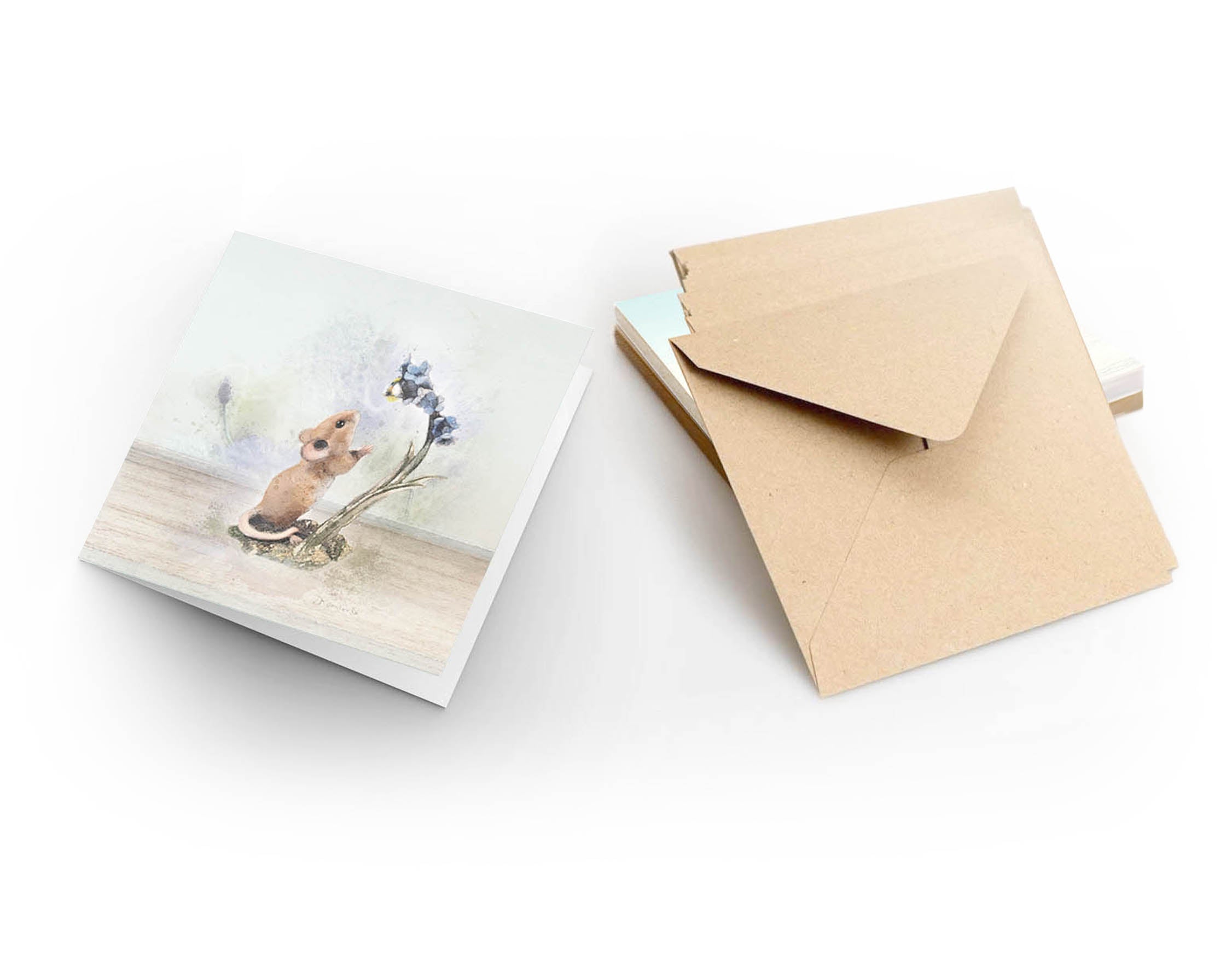 Studio Mice Greeting Card Pack - Set of 6 Designs