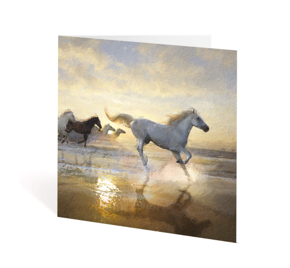 Bronze Greeting Card Pack - Set of 6 Designs