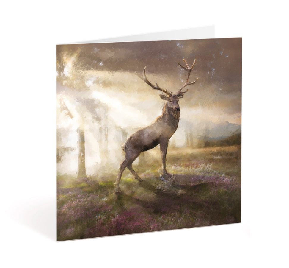 Bronze Greeting Card Pack - Set of 6 Designs