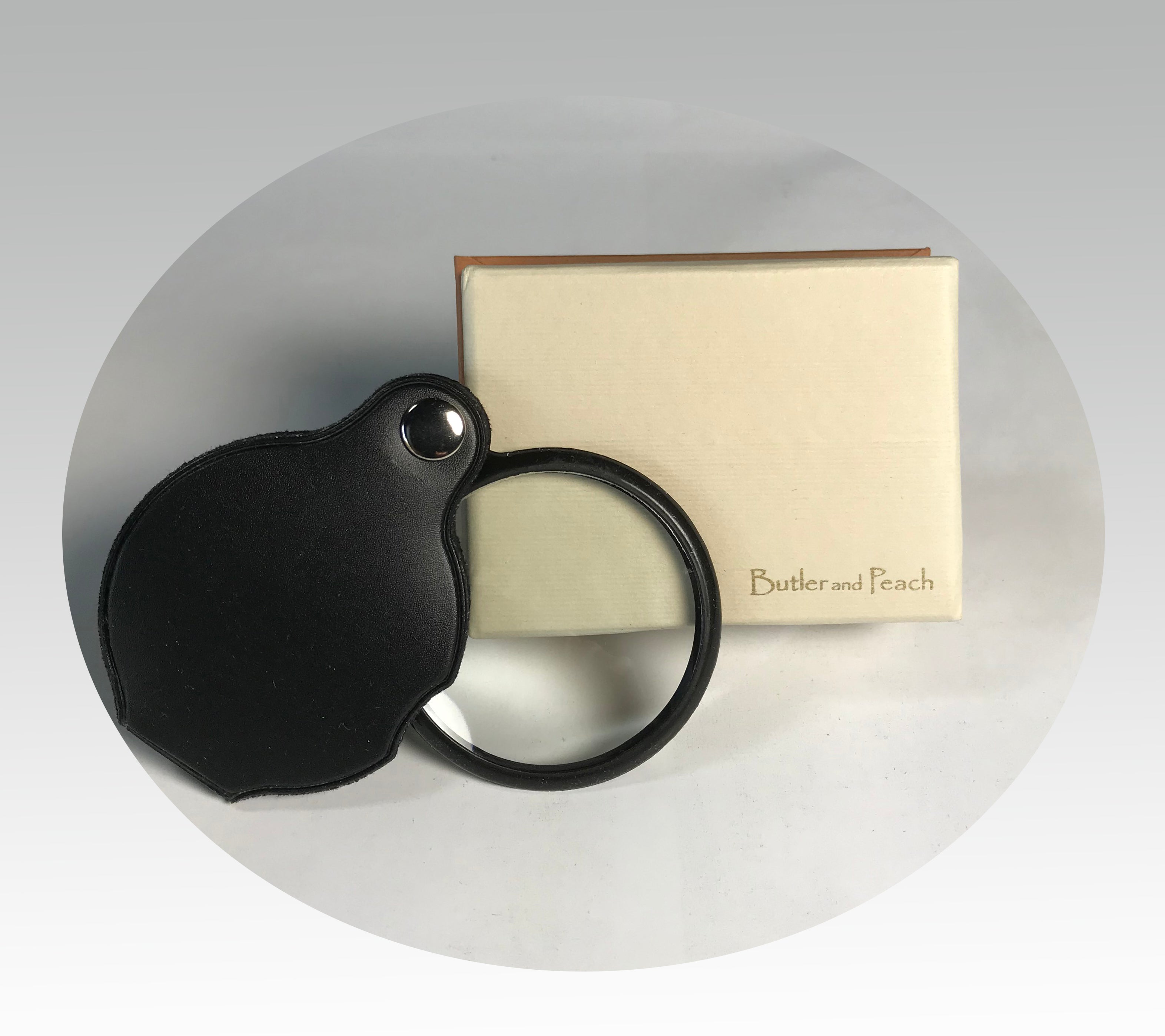 Butler & Peach Miniature Bronze Border Terrier (2072)