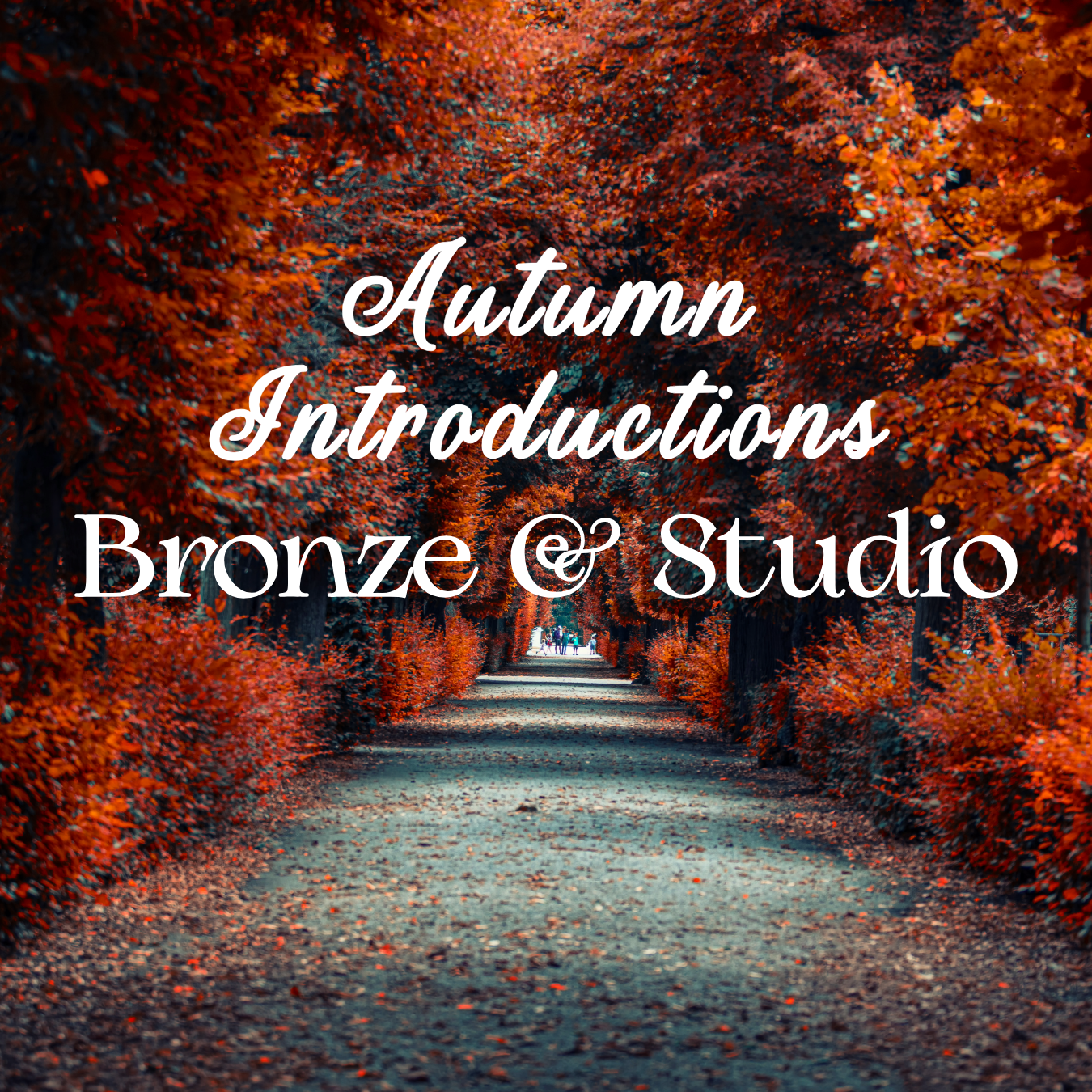 Autumn Introductions