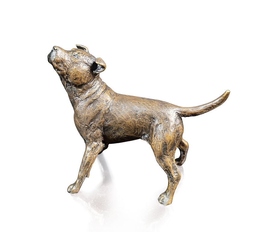 Staffordshire Bull Terrier (1193)