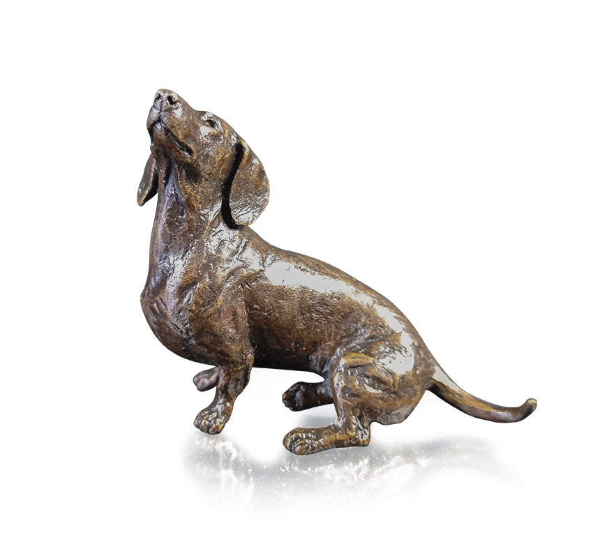 Small Dachshund Sitting (1228)