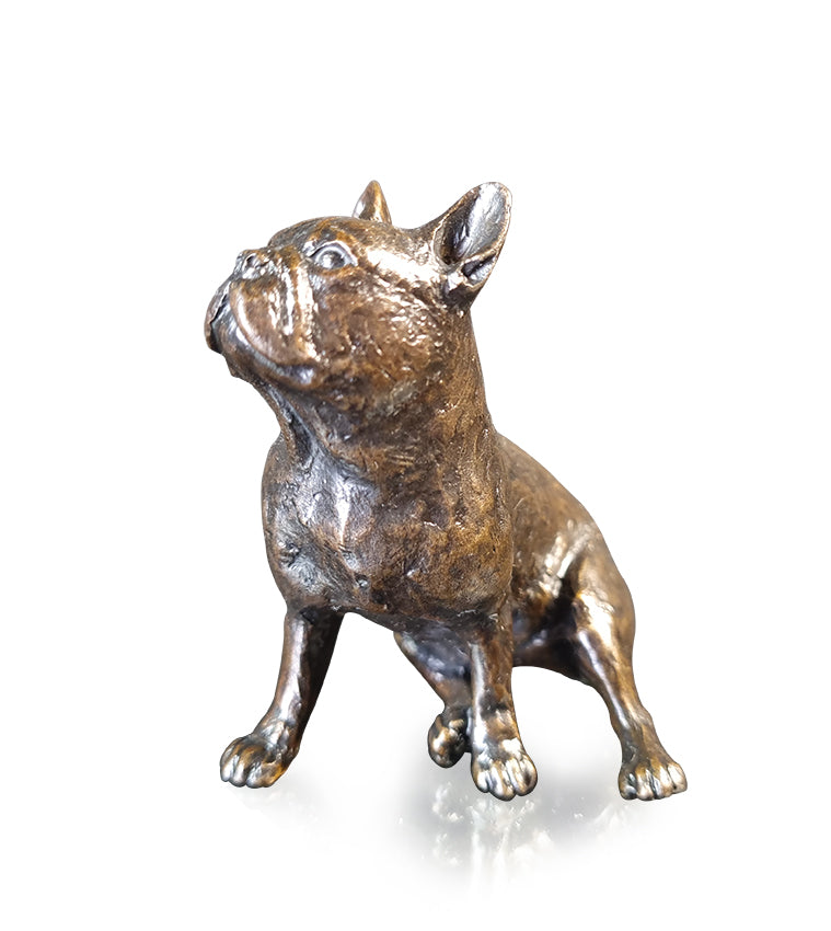 Small French Bull Dog (1230)