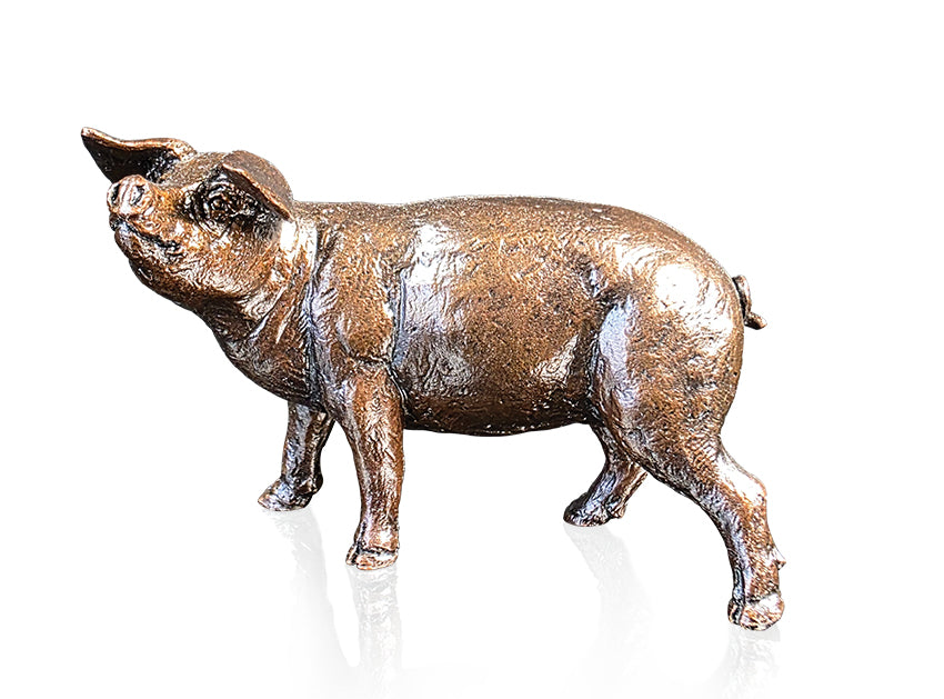 Gloucester Old Spot (1267)