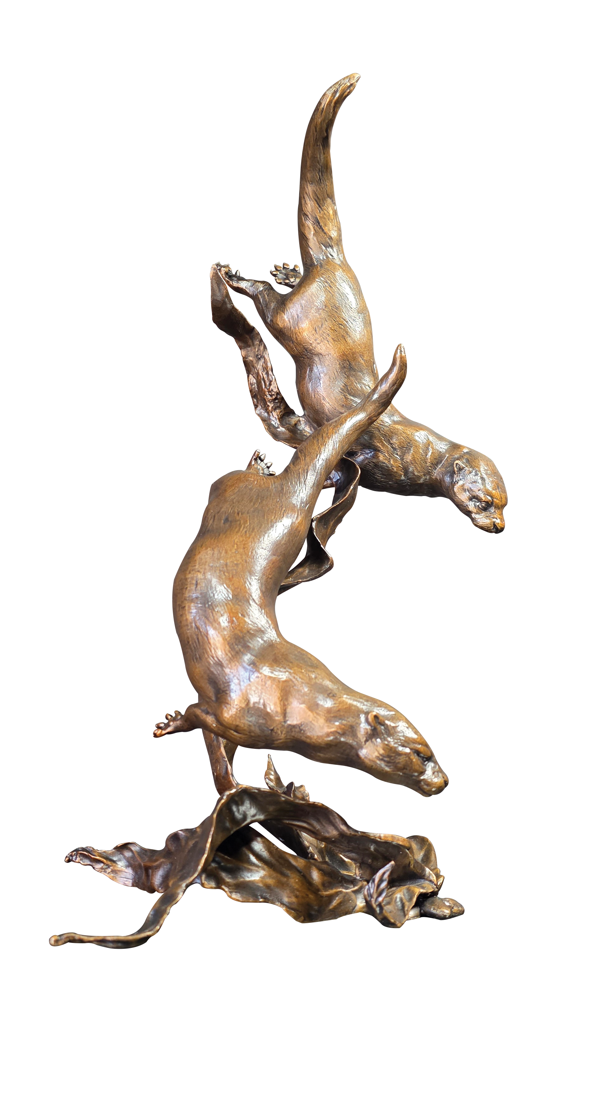 Otters Playing (1280)