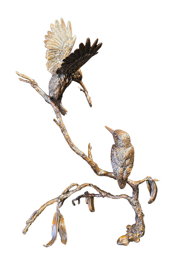Jewel of the River - Kingfisher Pair (1281)
