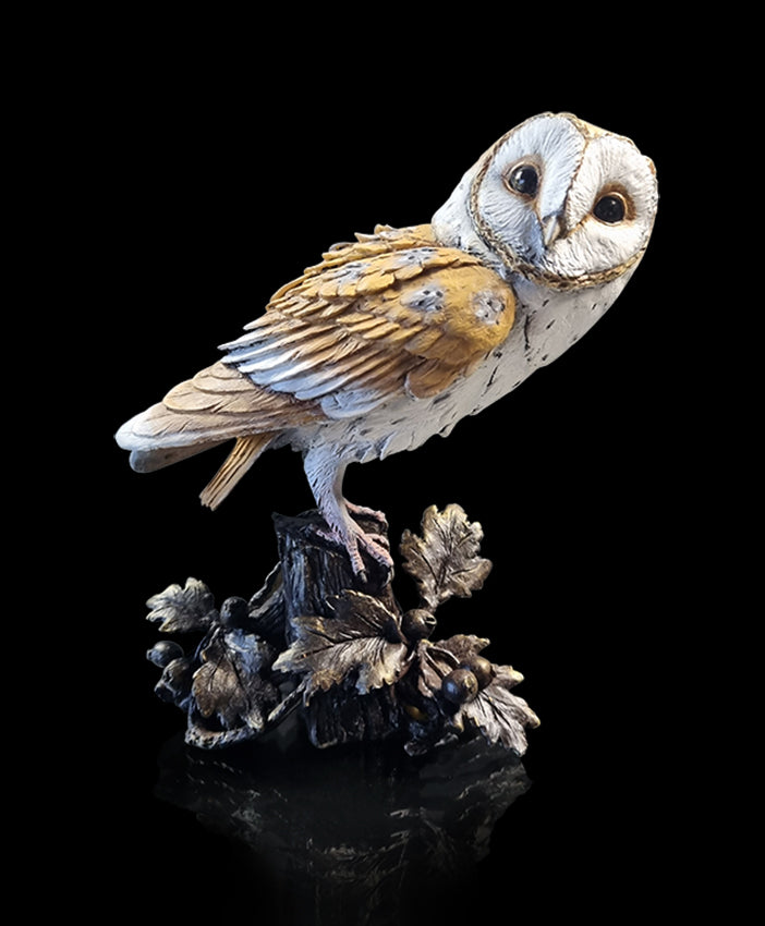 Barn Owl on Hawthorne