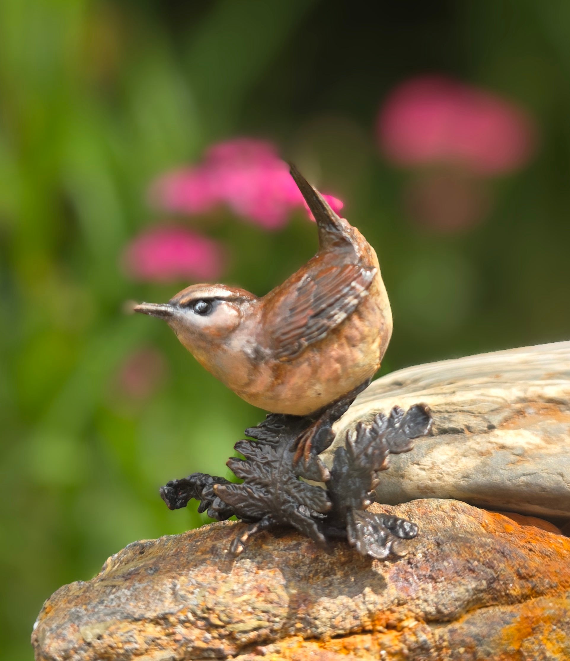 Artist's Originals - Hand Painted Wren