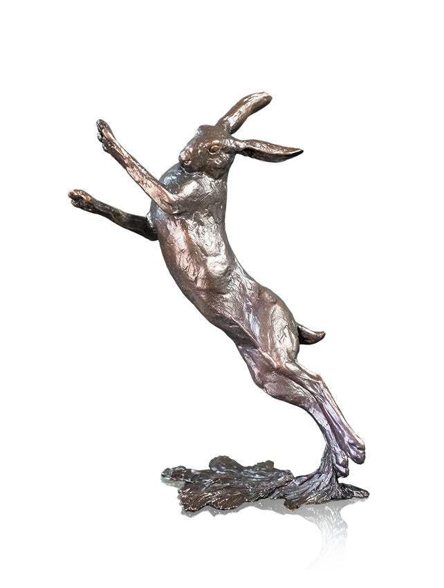 Medium Hare Boxing (1117)