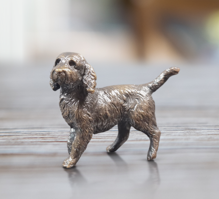 Cockapoo (1152)