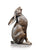 Large Hare Moon Gazing (1160)