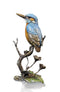 Kingfisher with Meadow Marsh (1162)