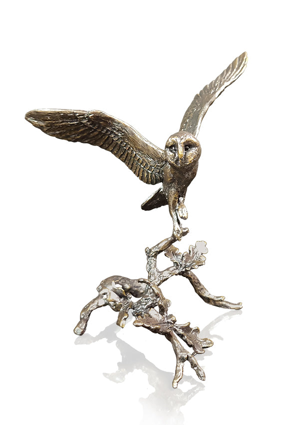 Barn Owl with Acorns (1169)
