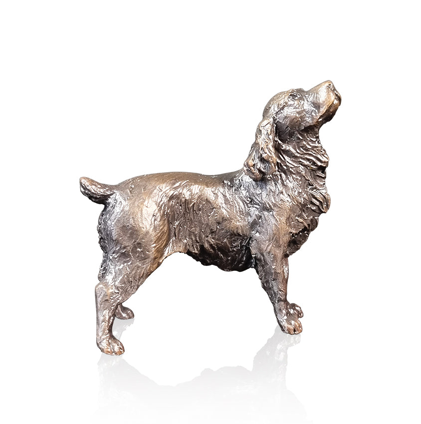 Cocker Spaniel (1196)
