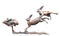 three hares running bronze sculpture