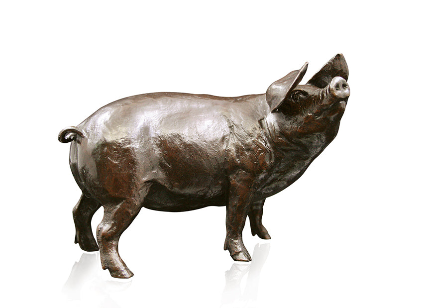 bronze gloucester old spot pig sculpture michael simpson limited edition