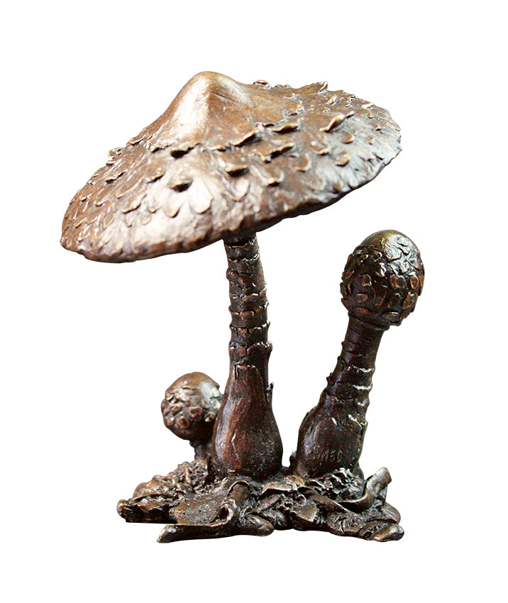 bronze parasol mushroom sculpture