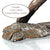 Medium Hare Boxing (1117)